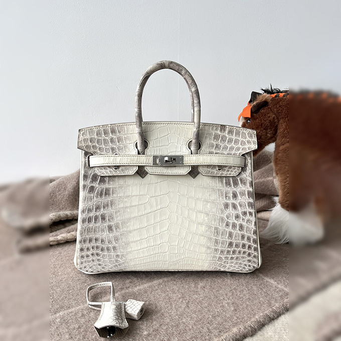 hermes birkin 25 handbag with silver hardware